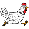 Crazy Chicken