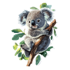 Koala
