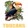 Toucans Toucan