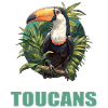Toucans Toucan