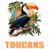 Toucans Toucan