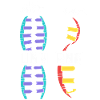 Biology Teacher Biologist Microbiology Biologist