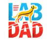 Labrador Dad, Dog Lover