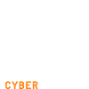 Cyber Monday shopping spree