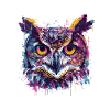 Owl Head Splatter