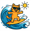 Sun Surfer Cat
