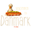 Velkommen til Danmark Möwe Hotdog Design