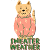 Météo des pulls