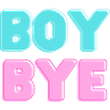 boy bye