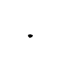 Lapwing Portrait - Wire Mesh