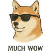 Shiba Inu Dog - Much Wow!