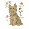 Chien  Yorkshire Terrier - Samurai Spirit