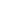 Twin Dragon 