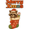 Christmas raccoon in stocking