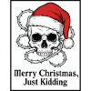 Christmas Skull