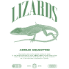 Cuban Knight Anole Reptile Keeper Lizard
