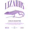 Cuban Knight Anole Reptile Keeper Lizard