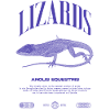 Cuban Knight Anole Reptile Keeper Lizard