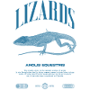 Cuban Knight Anole Reptile Keeper Lizard