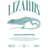 Cuban Knight Anole Reptile Keeper Lizard