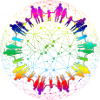 Rainbow Net of Community