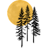 Sunset Pine Silhouette