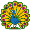 Lebendiger Pfauenfächer