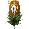 Golden Peace Lily with Halo