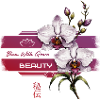 Orchid Bloom With Grace