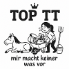Tunierhilfe, Reittunier, Pferd, 