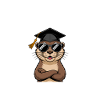 Master - Funny Otter Master