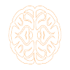 Brain01