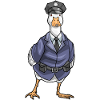 Duck Policeman Police Cap Police