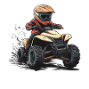 Quad Rider Offroad Action