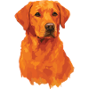 Aquarelle Renard rouge Labrador PopArt