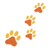 Paw Print Trace in Orange