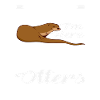 Sea Otter Pun Otter Lover