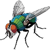 Fly - Cooles Low-Poly-Logo