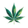 Cannabis Leaf - Funny Cannabis Memes