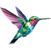 Hummingbird - Cool Bird Logo
