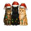 Cats Christmas Fairy Lights Christmas Hat