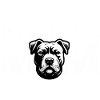 Porträt der Pitbull-Mutter