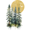 Moonlit Pine Woodland
