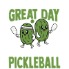 Pickles Pickleball Sport Paddleball Player
