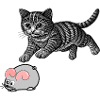 Cat and mouse game