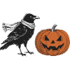 Crow with Halloween Pumpkin