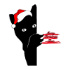 Chat de Noël