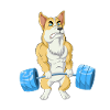 Corgi Weightlifting