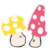 Autumn mushrooms