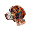 Beagle Farbexplosion